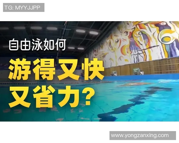 自由泳技巧全面解析 从入门到高手的进阶训练视频教程 自由泳技巧全面解析 从入门到高手的进阶训练视频教程